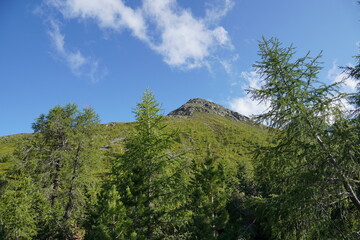 Bei Matrei: Wanderung auf den Zunig