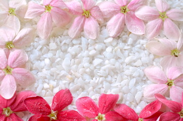 Beautiful Rangoon Creeper flowers on white stone background. Space for text.