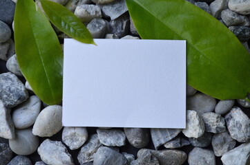 white papaer on the stone background. Space for text.