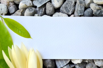 Frame of White Champaka with leaves on a stone background. Space for text.
