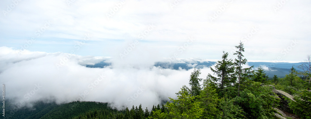 Canvas Prints fog over the forest of the carpathian mountains in summer
