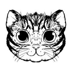 Adorable Cat Or Tiger Face in Cartoon Doodle Style Isolated on White Background. Can be Used for Cloth Design. Vector Illustration.