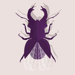 Obraz na płótnie Canvas Dark red Bug with wings isolated on light background. Vector illustration. Single, beetle, antennae, insect, fauna, nature, flying, little, arthropod, wild life, decorative, biology, zoo.
