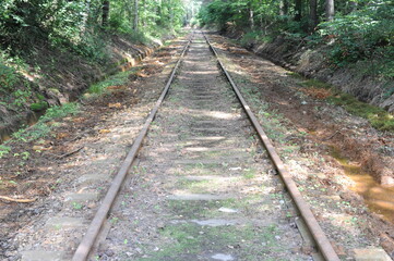 Fototapeta premium Old rust railroad trucks for cargo railway trains in green gorge with trees in summer in daylight
