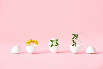Flowers in eggshell on pink background