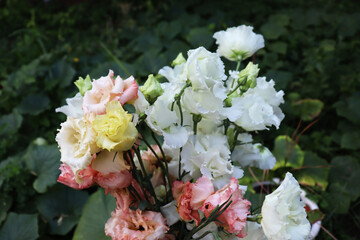 Delicate bouquet with colorful flowers for banner