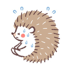 熱中症のハリネズミ1