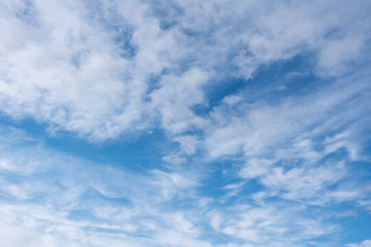 Cirrus clouds in the blue sky,beautiful Cirrus uncinus in the blue summer sky. Background of blue sky and white feathery clouds