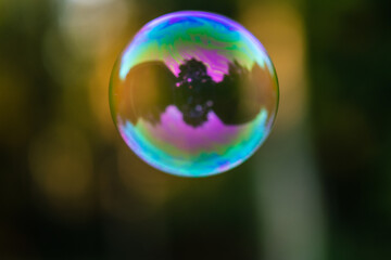 soap bubbles on a green background