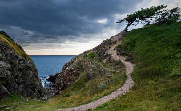 winding trail on the cliff at kullaberg in south sweden