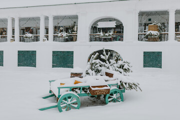 horse carriage in the snow