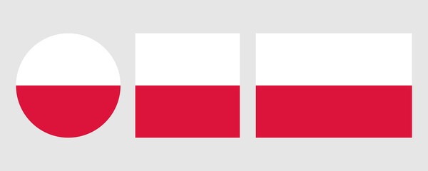 Poland national flag. Vector illustration isolated on white background
