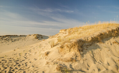 Grey dunes in sunny summer day with sand and grass, Lithuania. 