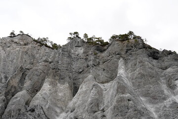 Rocky walls of the Ruinaulta ravine or gorge in Switzerland. Photo from the bottom of the ravine exposing their texture. Some coniferous trees are on the top of the rock. There is a lot of copy space.