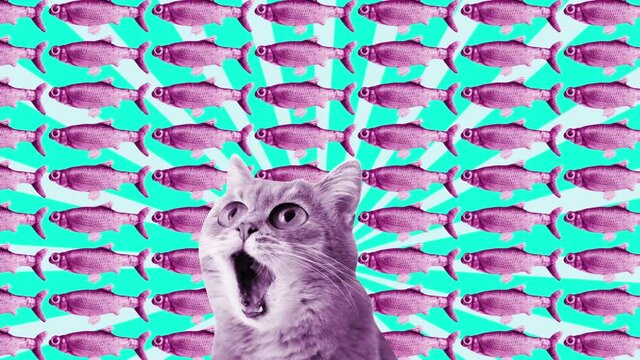 Animated Cat Face. Motion Funny Kitty Background Design.