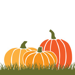 pumpkins on a white background