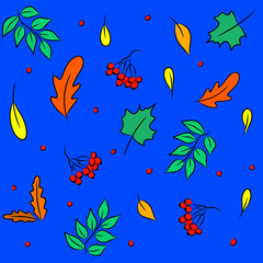 Obraz na płótnie Canvas Autumn. Autumn leaves. Maple leaf, mountain ash, oak