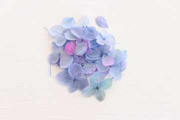 Top view image of Hydrangea flowers composition over white wooden background .Flat lay