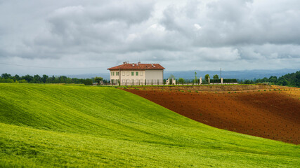 Obraz na płótnie Canvas Vineyards of Monferrato near Cuccaro at springtime