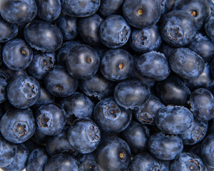 Fresh blueberry texture or background