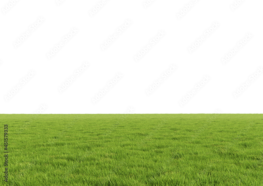 Wall mural realistic empty green grass field isolated on white background. horizontal clean panorama. bright 3d