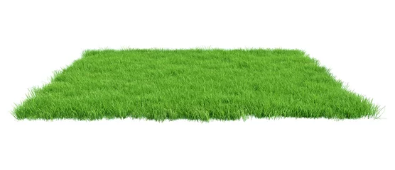 Deurstickers Squared surface patch covered with green grass isolated on white background. Realistic natural element for design. Bright 3d illustration. © cgterminal
