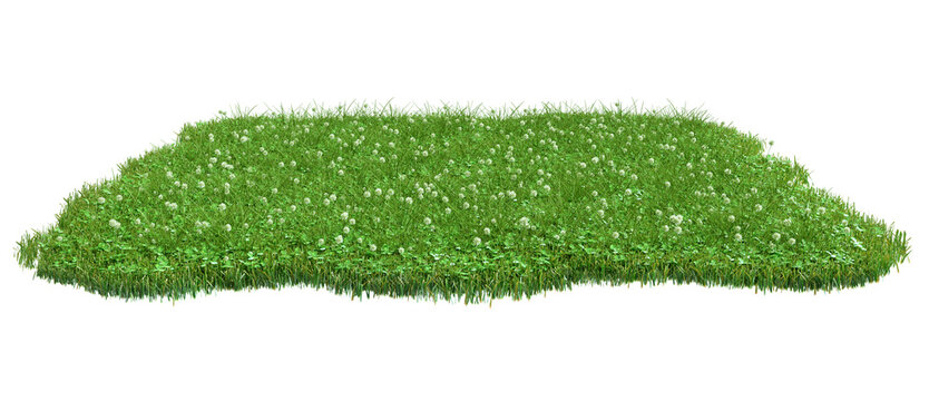 Squared surface patch covered with clover and green grass isolated on white background. Realistic natural element for design. Bright 3d illustration.