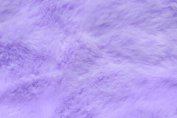 Purple fur texture top view. Lilac fluffy fabric coat background. Winter fashion violet color trend feminine flat lay, female blog backdrop text signs desidgn. Girly abstract wallpaper textile surface