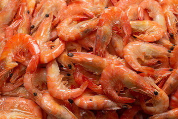 Shrimps background texture. A lot of shrimps. Cooked shrimps.
