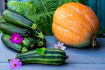 Summer still life of seasonal harvest of squash and pumpkin on a blue wooden background. Horizontal photo, close-up
