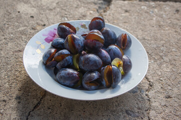 Fruits of prunus domestica tree cut in halves on vintage plate on concrete surface background in sunlight