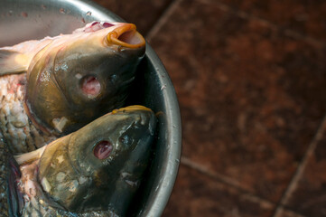 Peeled crucian carp, ready for grilling.