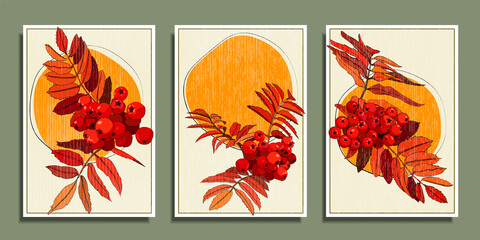 Set of abstract botanical posters with minimalistic composition. Autumn background with leaves and fruits of mountain ash. Template for wall decoration, postcards, cover design.