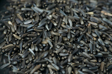Black flax seeds, Linum usitatissimum macro closeup, Satara, Maharashtra, India