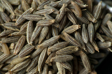Cumin seeds, Cuminum cyminum, Satara, Maharashtra, India