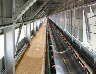 Bulk cargo conveyor belt gallery 
