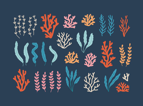Hand-drawn set of seaweed and corals, isolated on blue. Concept of ocean flora and fauna, marine and underwater life, summertime. Colored vector illustration.