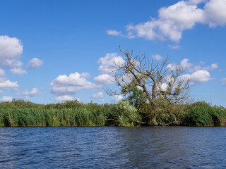 River landscape at the Peene, Mecklenburg Vorpommern, Germany.