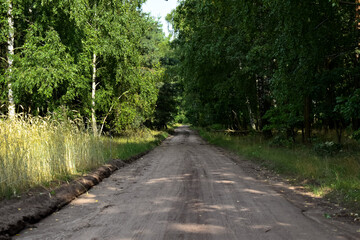 Fototapeta na wymiar Czarna, piaskowa droga prowadząca do lasu.