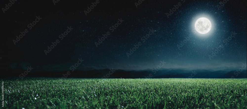 Canvas Prints green field on the background of the night sky. elements of this image furnished by nasa