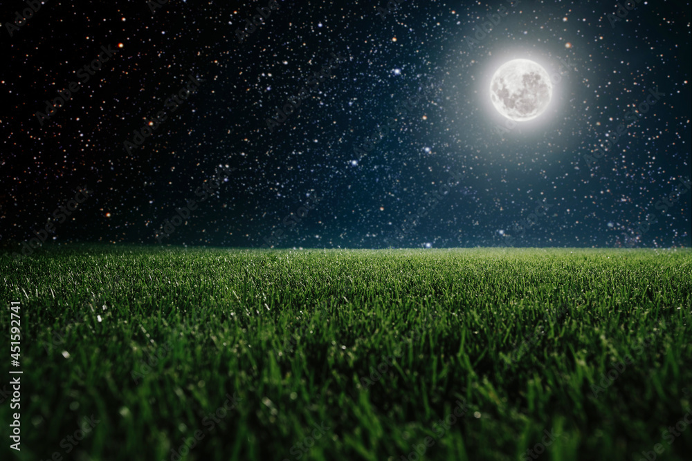 Wall mural Green field on the background of the night sky.  Elements of this image furnished by NASA