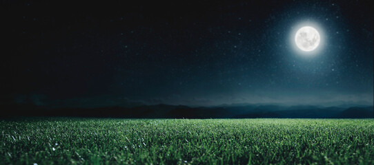 Green field on the background of the night sky.  Elements of this image furnished by NASA - Powered by Adobe