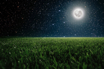 Green field on the background of the night sky.  Elements of this image furnished by NASA © vovan