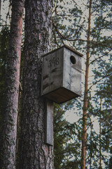 wooden bird house