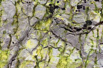 stylish blend of unique textures of rock woods and stones