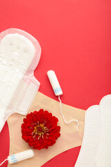 Women's panties with menstrual pads and tampons on red background. Top view. Concept of critical days, menstruation, feminine hygiene. A rose flower lies on a menstrual pad.