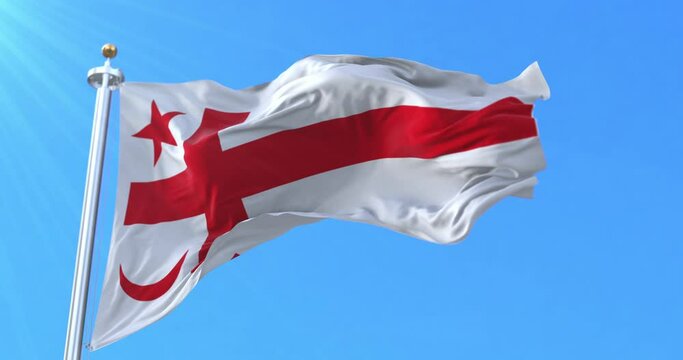 Grand Council Flag of the Mi'kmaq Nation. Loop