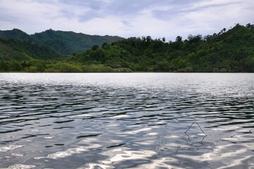 Beautiful scenic view of ocean at sunrise with green forest mountain and dramatic clouds in blue sky. Sunlight reflection on calm clear water. No people.