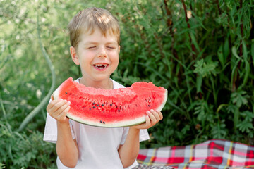 toothless little man eats watermelon white t-shirt. Picnic with watermelons. Summer mood. The boy is holding a large piece of watermelon in his hands.