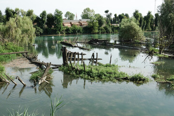veduta dee resti delle barche sul fiume Sile, Treviso